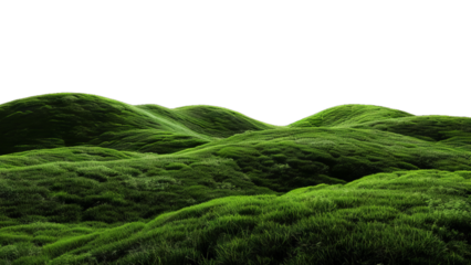 A serene landscape of rolling green hills covered in lush grass, creating a peaceful and undulating pattern against a clear, isolated.


