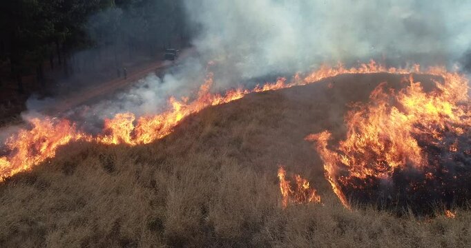 Zoom out aerial drone, forest fire, controlled burn