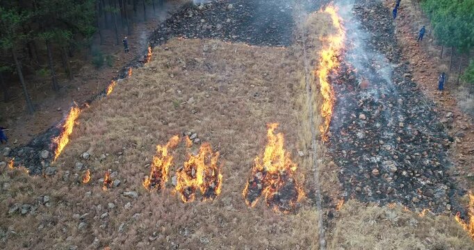 Controlled burn, Zoom out aerial drone of Prescribed fire in forest