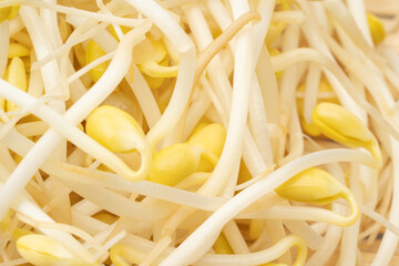 豆もやしのクローズアップ背景