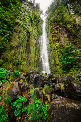 Magical misty green forest with waterfalls do Folhadal in Levada do Norte, Madeira island, Portugal.