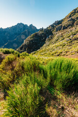Hiking on the highest peak of Madeira Pico Ruivo next to the cottage Abrigo do Pico Ruivo. Views of the surrounding mountains lanscape during sunny day