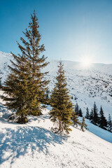 Alpine mountains landscape with white snow and blue sky. Frosty trees under warm sunlight. Wonderful wintry landscape High Tatras, slovakia