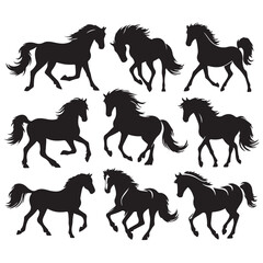 vector design horse set silhouette, majestic and detailed equestrian illustrations
