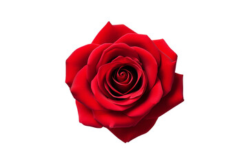 Fototapeta premium Single red rose petal top view PNG with transparent background for romantic floral designs and creative art projects