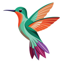 hummingbird on a branch