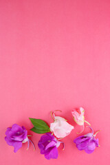 bright colorful background with botanical elements