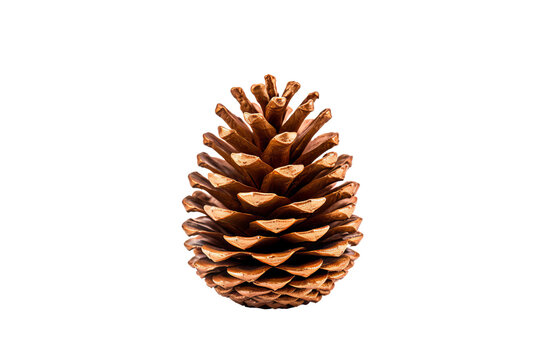 High-quality pinecone metallic PNG with transparent background for digital art, graphic design, and seasonal decoration projects