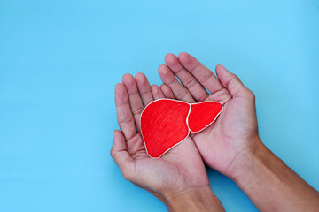 Hand holding a heart sign to commemorate world hepatitis day