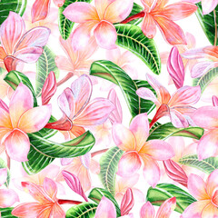 Tropical flowers pink plumeria with leaves. Watercolor illustration seamless pattern on white background. For design and decoration, fabrics, wallpaper, souvenirs