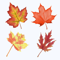 Cute Watercolor Fall Clipart - Download Cozy Autumn Illustration