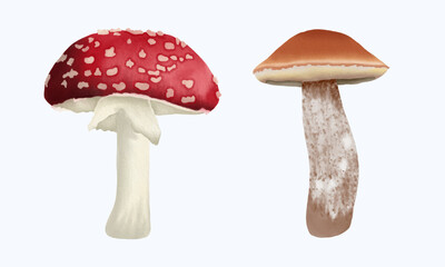 Cute Watercolor Fall Clipart - Download Cozy Autumn Illustration