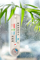 Thermometer Attached to Window With Rain and Plant