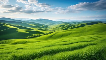 Obraz premium Fresh green fields in spring with a blue sky backdrop on a hill 