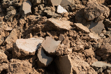 Sod soil view detail close up