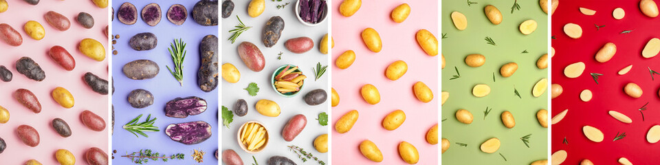 Collage of different sorts of potatoes and herbs on color background, top view