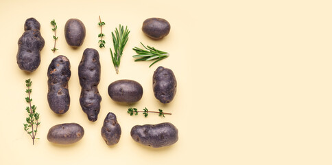 Composition with raw purple potatoes and herbs on color background