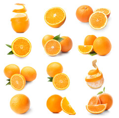 Set of ripe oranges isolated on white
