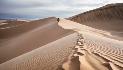 Sand Dunes Forgotten in Cloudy Winter: The Voyager's Globetrot Surrounded in Landslide
