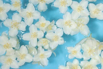 Beautiful jasmine flowers in water on light blue background, top view