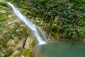 Fototapeta premium Waterfall on the river in nature in summer