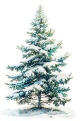 Obraz premium A beautiful watercolor painting of a pine tree covered in snow