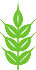 Wheat ear icon or symbol in green color.