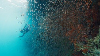 Man freedives underwater in the tropical sea in Raja Ampat in Indonesia