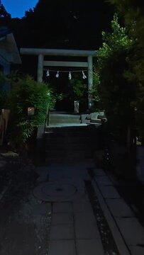 Torii gate in the night