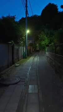 Japanese Night Alley with Trees and Dim Streetlights
