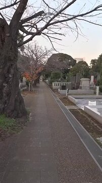 Japanese Cemetery Path in the Evening with Crow Sounds