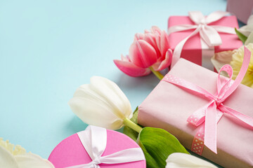 Gift boxes and beautiful tulips on blue background