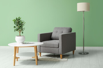 Black armchair, houseplant and coffee table in living room