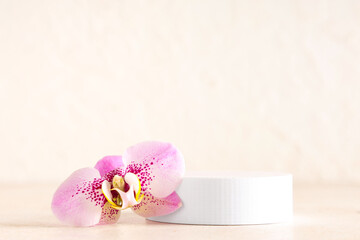 Decorative podium with beautiful orchid flower on white background
