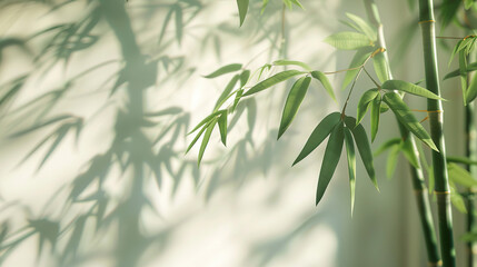 A close-up of a green bamboo pole hanging in the middle of the pictureï. The background features a soft white color with subtle textures that suggest natural elements like leaves 