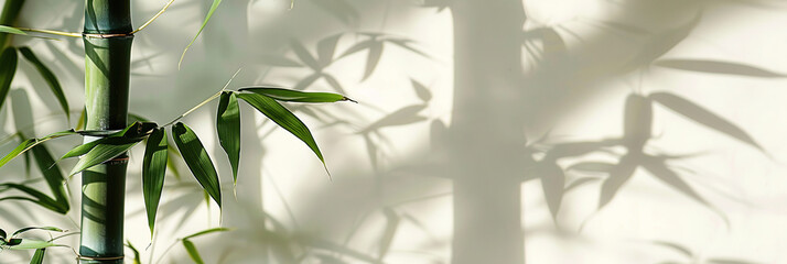 A close-up of a green bamboo pole hanging in the middle of the pictureï. The background features a soft white color with subtle textures that suggest natural elements like leaves 