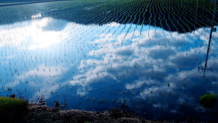 water 