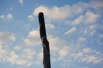 Tree trunk without leaves on blue sky background