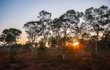 Fototapeta premium Savanna grassland on Phra Thong Island