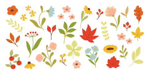 Collection of autumn element vector. Set of flowers, oak, maple leaf, leaves branch, berry, wildflower. Hand drawn of autumn foliage design for decorative, print, graphic, card.