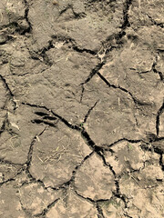 Close-up of cracked, dry soil with sparse grass remnants. The earth appears parched and fragmented, indicating drought conditions