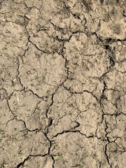 Close-up of cracked, dry soil with sparse grass remnants. The earth appears parched and fragmented, indicating drought conditions
