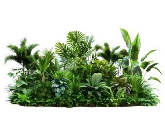 piece of wild forest with trees and plants isolated on transparent background.