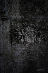 Close-up of a concrete wall covered in green moss and mold.