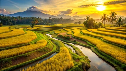 Golden hues of ripe rice crops stretch towards horizon, amidst serpentine waterways, in Indonesia's post-harvest rural landscape.