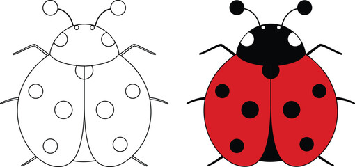 Cute ladybug cartoon character outline coloring page © Saly
