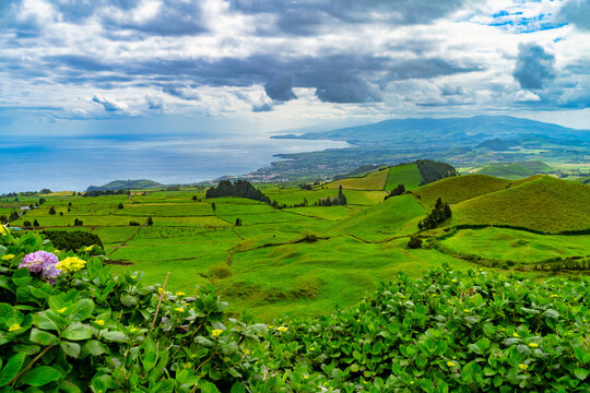 Naturaleza
