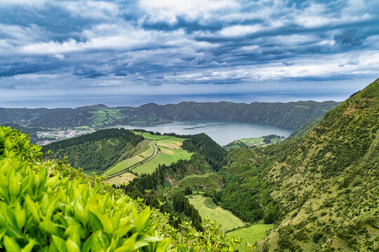 Naturaleza