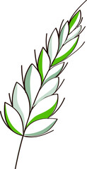 Wheat Ear Element In Green And White Color.