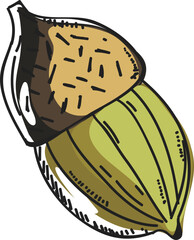 Isolated Walnut Fruit Icon in Flat Style.